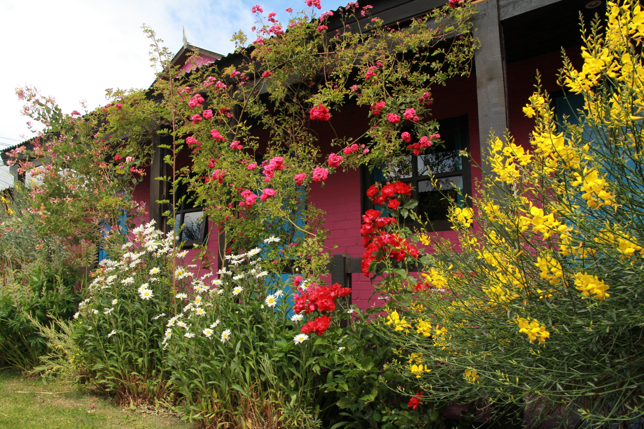 Flores Jardín